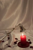 Pirinç Mum Söndürücü Noel Yılbaşı Gümüş Yılan - 1