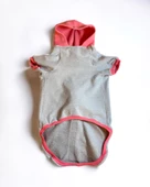 Pocket Rainbow Sweatshirt Orta ve Büyük Irklar İçin - 6