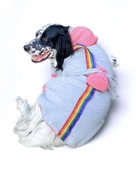 Pocket Rainbow Sweatshirt Orta ve Büyük Irklar İçin - 2