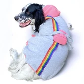 Pocket Rainbow Sweatshirt Orta ve Büyük Irklar İçin - 1