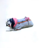 Pocket Rainbow Sweatshirt Orta ve Büyük Irklar İçin - 8