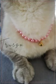 Cam İnci Kedi Kolyesi Zilli Kedi Tasması - Somon - 4