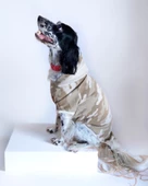 Soft Kamuflaj Sweatshirt Orta ve Büyük Irklar İçin - 12