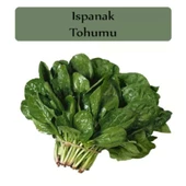 Agrokar Matador Ispanak 25 GR Geniş Yapraklı Ispanak Tohumu 5 li Paket - 1