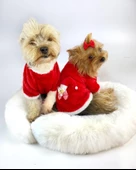 Kitty Santa Köpek Kazağı, Noel , Yılbaşı Elbisesi Kıyafeti - 3