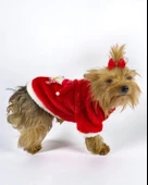 Kitty Santa Köpek Kazağı, Noel , Yılbaşı Elbisesi Kıyafeti - 5