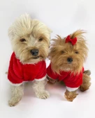 Kitty Santa Köpek Kazağı, Noel , Yılbaşı Elbisesi Kıyafeti - 7