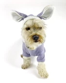 Bunny Boo Kulaklı Köpek Tulumu Kıyafeti - 7