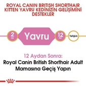Royal Canin Kitten British Shorthair Yavru Irk Kedi Maması 2 Kg thumbnail 4