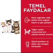 Hills Kitten Tavuk Etli Yavru Kedi Maması 1,5 Kg - 7