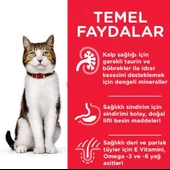 Hills Yaşlı Kedi Maması Tavuklu Mature Adult + 7 Yaş Üzeri 3 Kg thumbnail 6