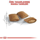 Royal Canin Ageing +12 Yaşlı Kedi Maması 2 Kg - 6