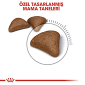 Royal Canin Hairball Tüy Yumağı Kontrolü İçin Kedi Maması 2 Kg - 6