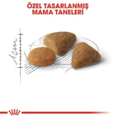 Royal Canin Savour Exigent Seçici Kedi Maması 4 Kg thumbnail 6