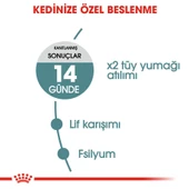 Royal Canin Hairball Tüy Yumağı Kontrolü İçin Kedi Maması 2 Kg - 3