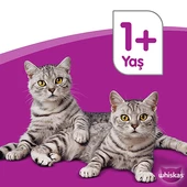 Whiskas Sığır Eti ve Sebzeli Kedi Maması 3,8 Kg thumbnail 3