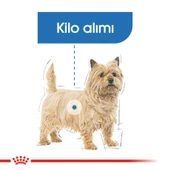 Royal Canin Mini Light Küçük Irk Diyet Köpek Maması 3 Kg thumbnail 3