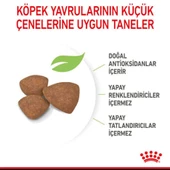 Royal Canin Mini Puppy Yavru Kuru Köpek Maması 4 Kg - 2