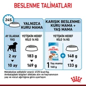 Royal Canin Medium Puppy Orta Irk Yavru Köpek Maması 15 kg thumbnail 9