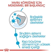 Royal Canin Puppy Medium Orta Irk Yavru Köpek Maması 4 Kg - 2