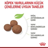 Royal Canin Medium Puppy Orta Irk Yavru Köpek Maması 15 kg thumbnail 7