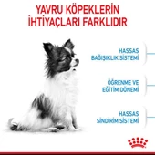 Royal Canin Xsmall Yavru Köpek Maması 1,5 Kg - 3