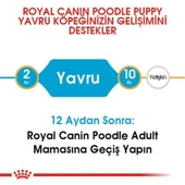 Royal Canin Poodle Junior Yavru Köpek Maması 3 Kg - 4