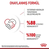 Royal Canin Mini Puppy Yavru Kuru Köpek Maması 4 Kg - 6
