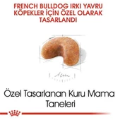 Royal Canin French Bulldog Junior Yavru Köpek Maması 3 Kg - 2