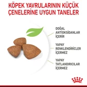 Royal Canin Xsmall Yavru Köpek Maması 1,5 Kg - 6
