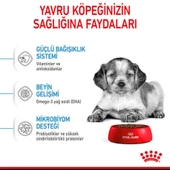 Royal Canin Medium Puppy Orta Irk Yavru Köpek Maması 15 kg thumbnail 5