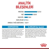 Royal Canin Mini Puppy Yavru Kuru Köpek Maması 4 Kg - 3