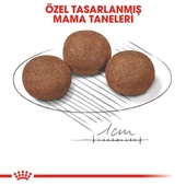 Royal Canin Puppy Medium Orta Irk Yavru Köpek Maması 4 Kg - 4
