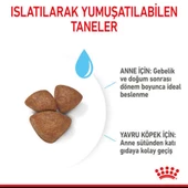 Royal Canin Mini Starter Küçük Irk Anne ve Yavru Köpek Maması 4 Kg - 7