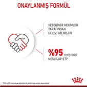 Royal Canin Mini Starter Küçük Irk Anne ve Yavru Köpek Maması 4 Kg - 11