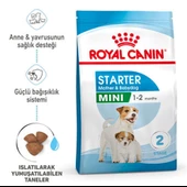 Royal Canin Mini Starter Küçük Irk Anne ve Yavru Köpek Maması 4 Kg - 4