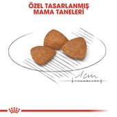 Royal Canin X-Small Ageing 12 Yaş Üzeri Yaşlı Köpek Maması 1.5 Kg - 2