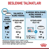 Royal Canin Mini Starter Küçük Irk Anne ve Yavru Köpek Maması 4 Kg - 9