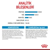 Royal Canin Mini Starter Küçük Irk Anne ve Yavru Köpek Maması 4 Kg - 8
