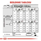 Royal Canin Ccn Mini Derma Köpek Maması 3 kg - 5