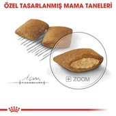 Royal Canin Ccn Mini Exigent Köpek Maması 3 kg thumbnail 3