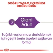 Royal Canin Giant Adult İri Irk Yetişkin Köpek Maması 15 Kg - 5