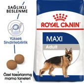 Royal Canin Maxi Adult Büyük Irk Yetişkin Kuru Köpek Maması 15 Kg thumbnail 2