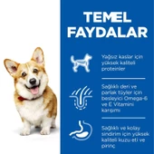Hills Small Mini Kuzulu Yetişkin Köpek Maması 1,5 Kg - 6