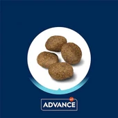 Advance Yetişkin Kuzulu Pirinçli Köpek Maması 12 Kg - 7