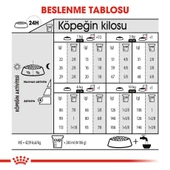 Royal Canin Ccn Mini Exigent Köpek Maması 3 kg thumbnail 4