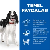 Hills Lamb Kuzu Etli Yetişkin Köpek Maması 2,5 Kg - 3