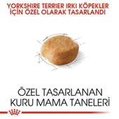 Royal Canin Yorkshire Terrier Köpek Maması 1,5 Kg - 2