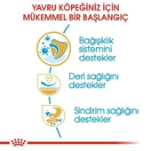 Royal Canin Pug 25 Pug Junior Yavru Köpek Maması 1,5 Kg - 2