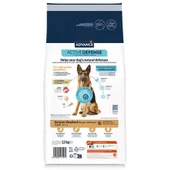 Advance Alman Kurtları için Hindili Yetişkin Köpek Maması 12 Kg - 3